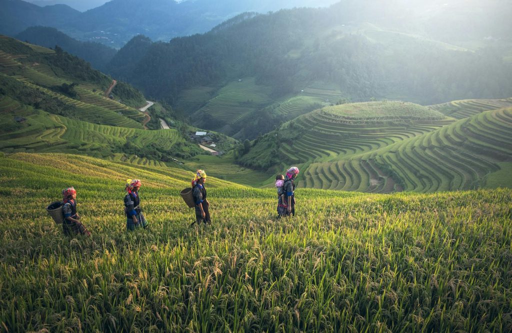 Photo by Pixabay: https://www.pexels.com/photo/people-on-rice-terraces-235925/